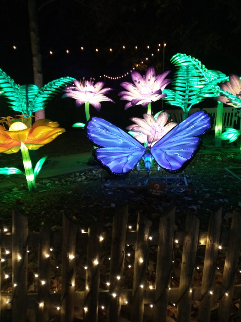 butterfly and flower holiday lights