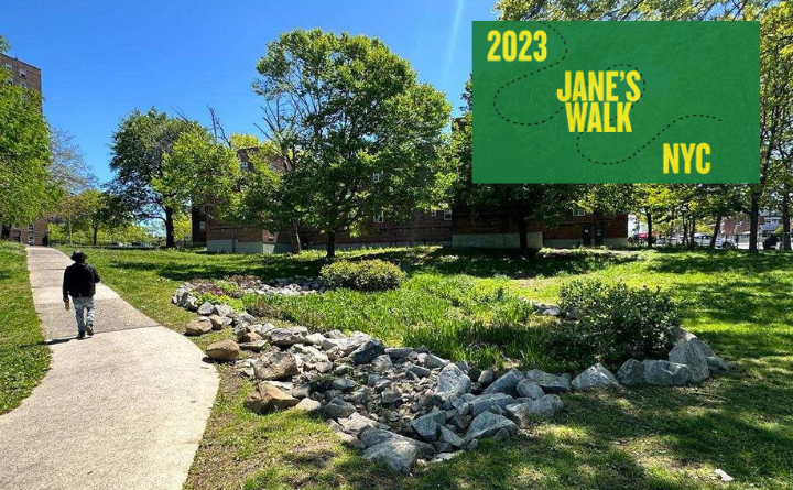 Edenwalk Houses development landscaping with Jane's Walk NYC 2023 logo