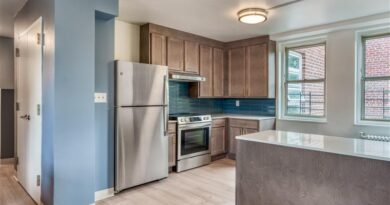 renovated apartment kitchen