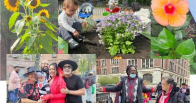 Smith Houses Garden Wins GreenThumb “Rookie of the Year” Award