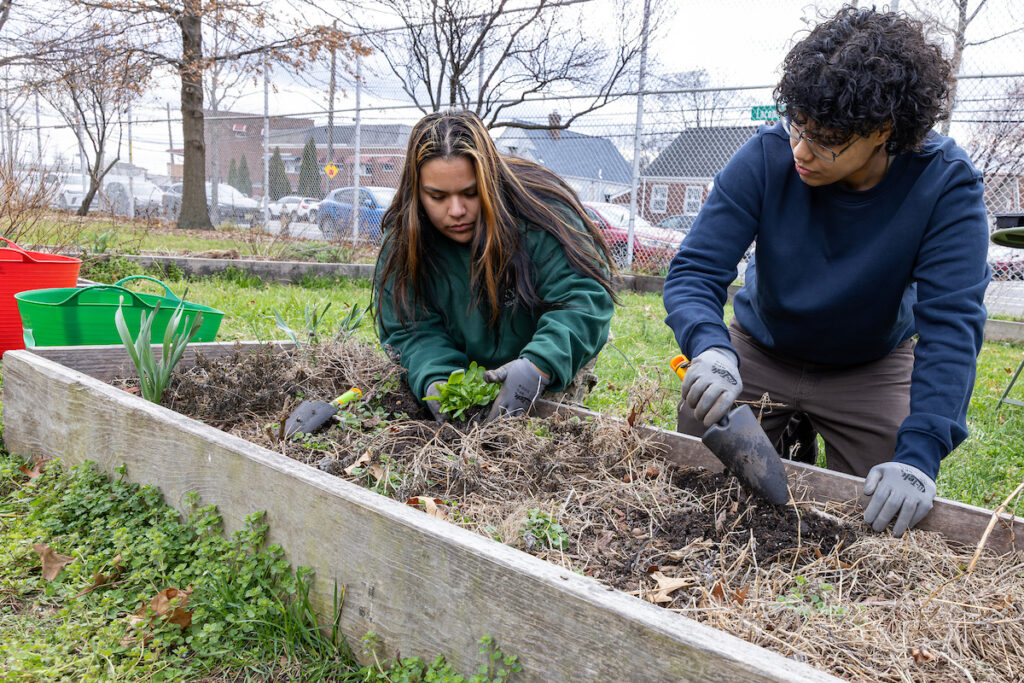 two people planting