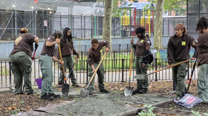 group of people shoveling ground