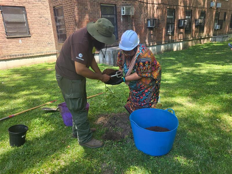 two people planting
