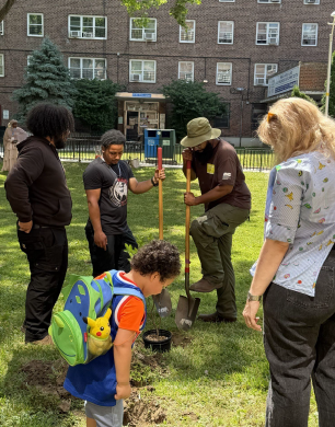 people digging in dirt with shovels