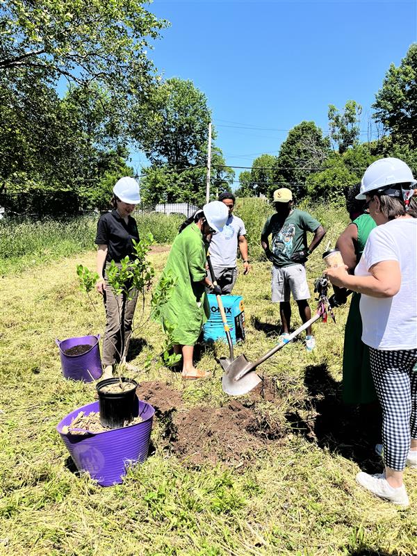 woman planting