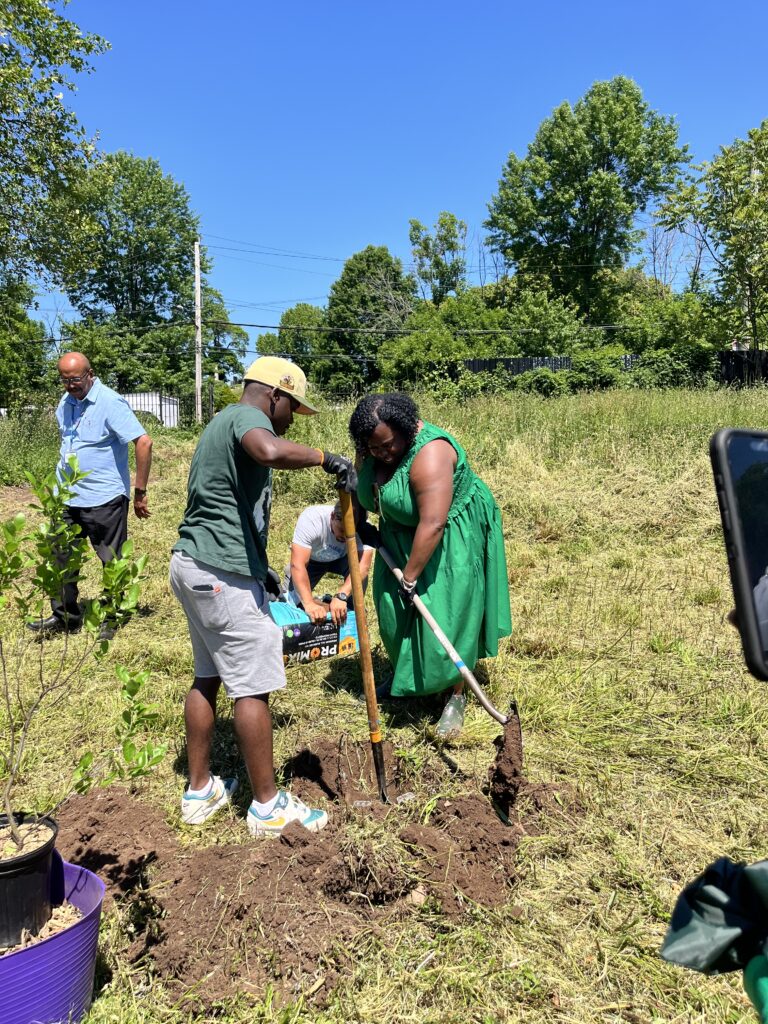 planting