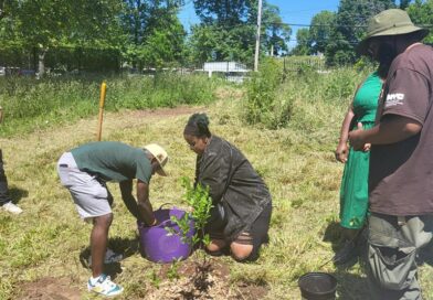 people planting