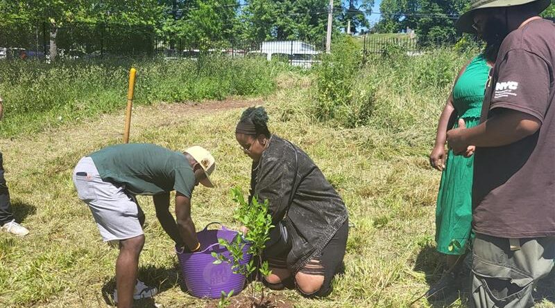 people planting