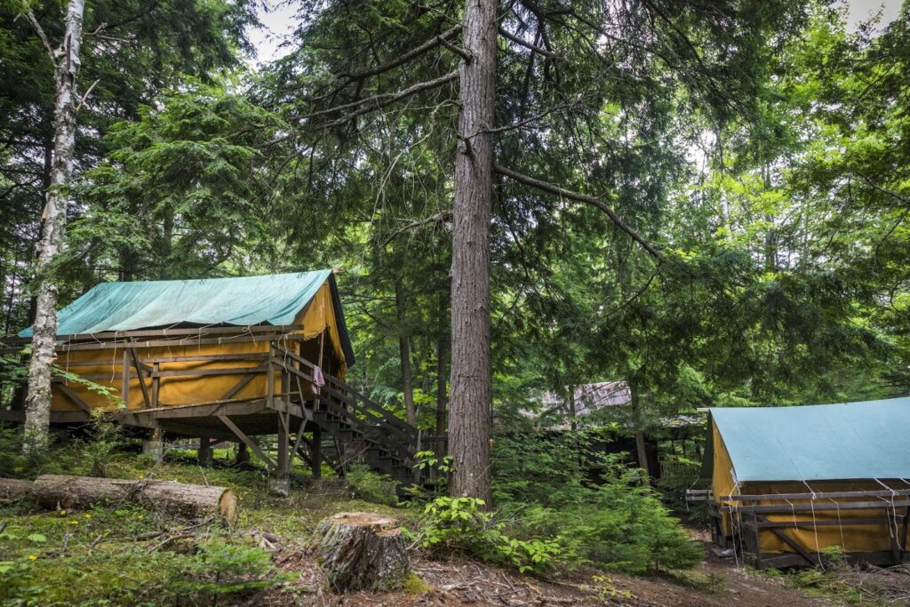 two cabins in the woods