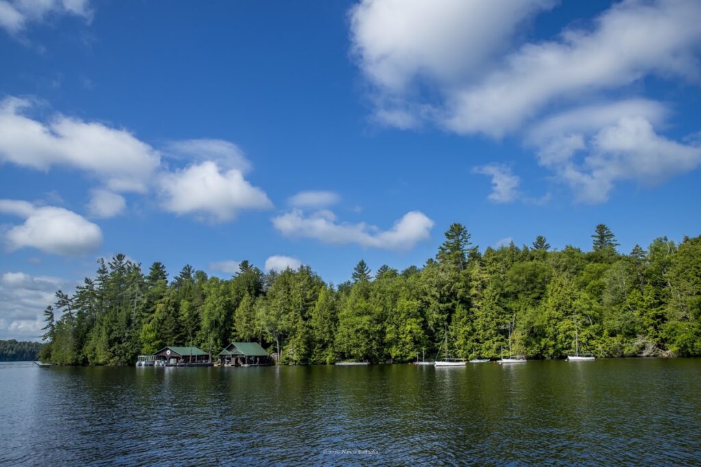 view of lake and trees
