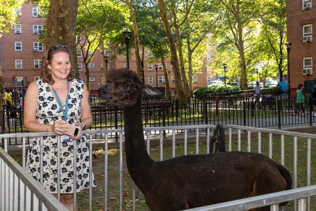 A smiling person stands beside a dark brown alpaca in a fenced area within a park, surrounded by trees and brick buildings.