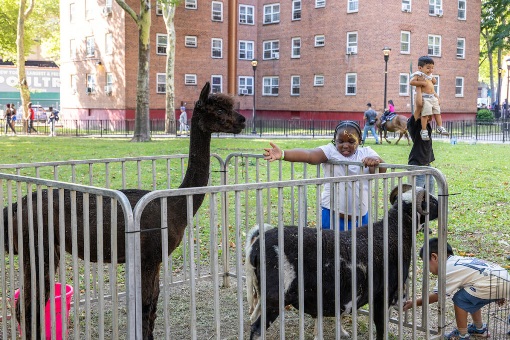 Children interact with a llama and a goat in a fenced enclosure within a park, with a brick building and other parkgoers visible in the background.