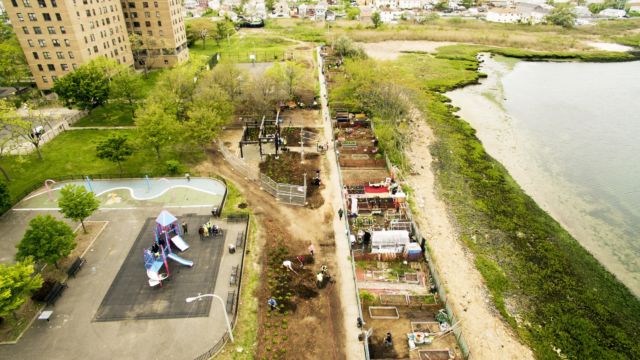 Gardening for Good at Beach 41st Street Houses