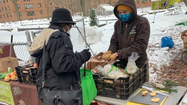 The Winter Cheer events at NYCHA's farms featured produce distributions, holiday decorating, and opportunities for residents to provide feedback on the future of Eco-Hubs.