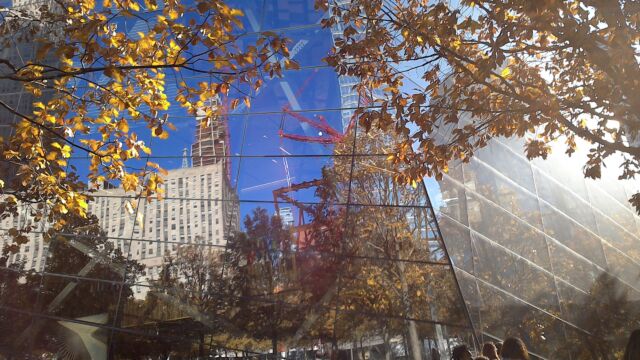Photo by Victoria Heath. building through leaves