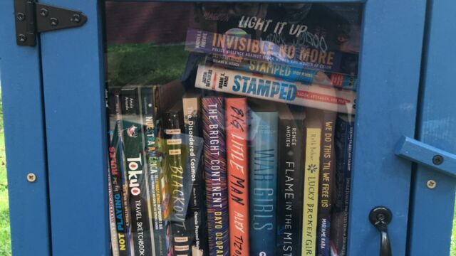 Marlboro Houses little free library