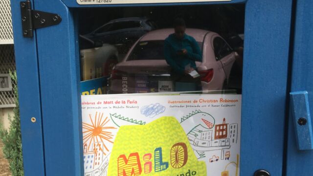 Mott Haven little free library