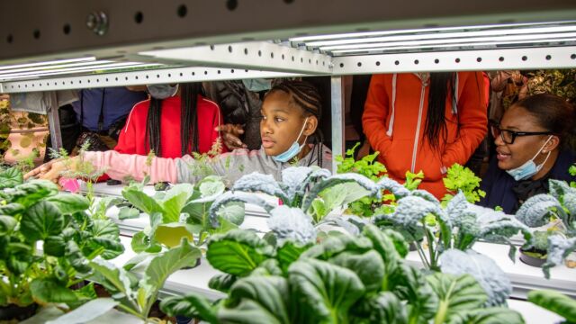 Students will have the opportunity to learn about urban agriculture, sustainability, and nutritional resources.