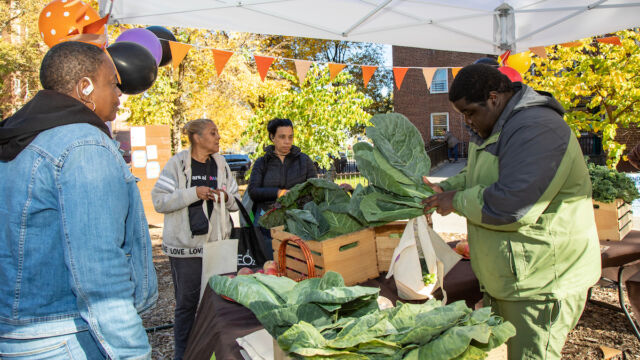 Harvest Festival at Forest Houses Farm