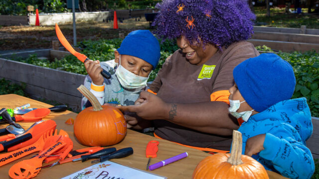 Harvest Festival at Forest Houses Farm