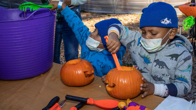 Harvest Festival at Forest Houses Farm