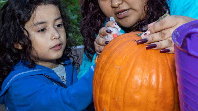 Harvest Festival at Forest Houses Farm