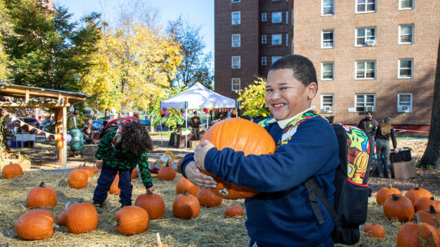 Harvest Festival at Forest Houses Farm