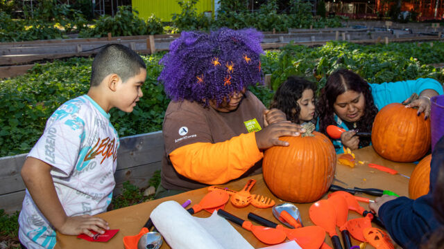 Harvest Festival at Forest Houses Farm