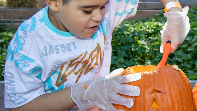 Harvest Festival at Forest Houses Farm