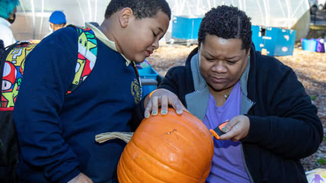Harvest Festival at Forest Houses Farm