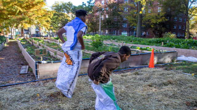 Harvest Festival at Forest Houses Farm