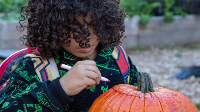 Harvest Festival at Forest Houses Farm