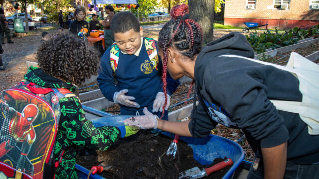 Harvest Festival at Forest Houses Farm
