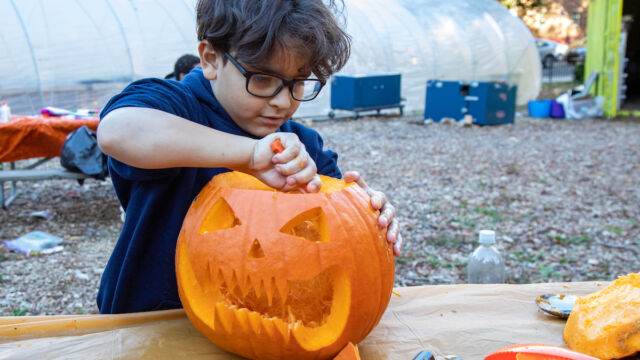 Harvest Festival at Forest Houses Farm