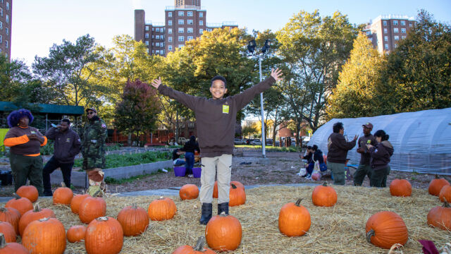 Harvest Festival at Forest Houses Farm